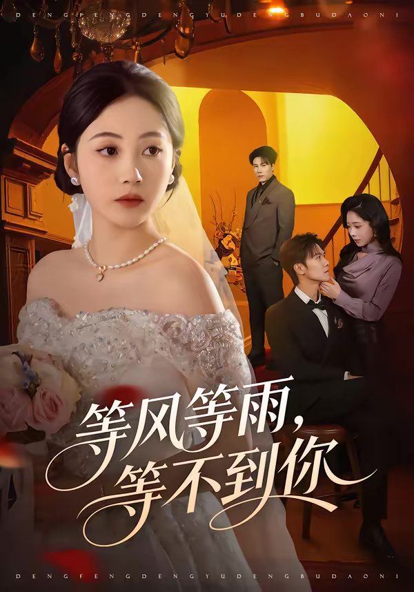 等風等雨，等不到你(全集)