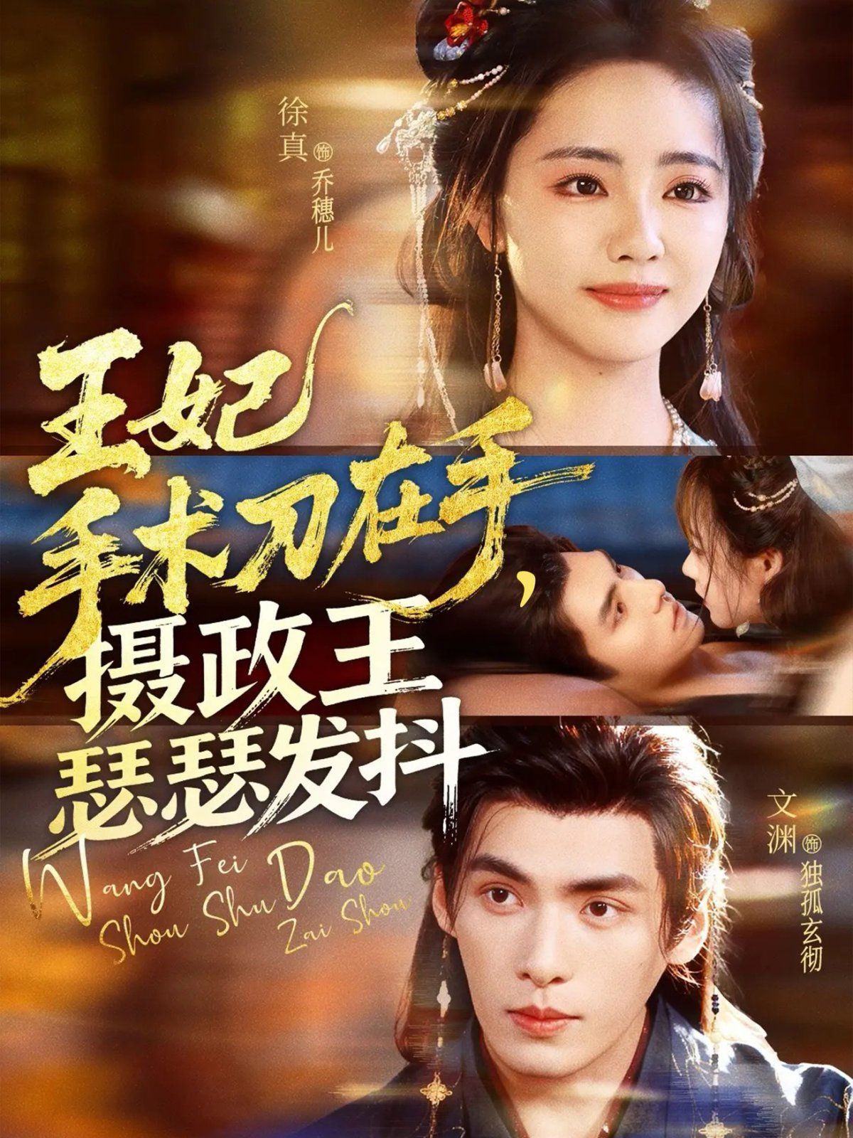 王妃手術刀在手攝政王瑟瑟發抖(全集)