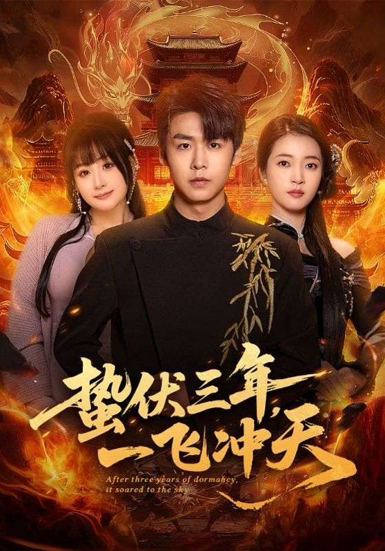 蟄伏三年，一飛沖天(全集)