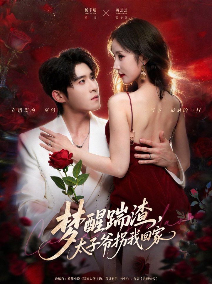 夢醒踹渣，太子爺拐我回家(全集)