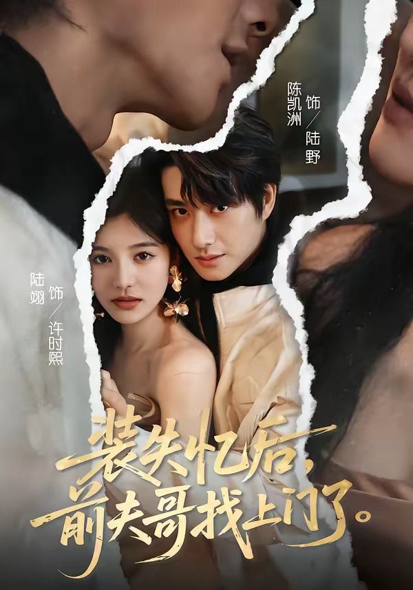 裝失憶后，前夫哥找上門了(全集)