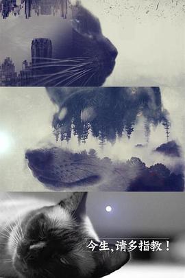 今生，請多指教(全集)