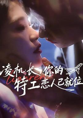 凌機長，你的特工戀人已就位(全集)