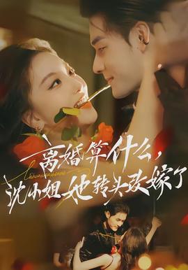 離婚算什么，沈小姐她轉頭改嫁了(全集)